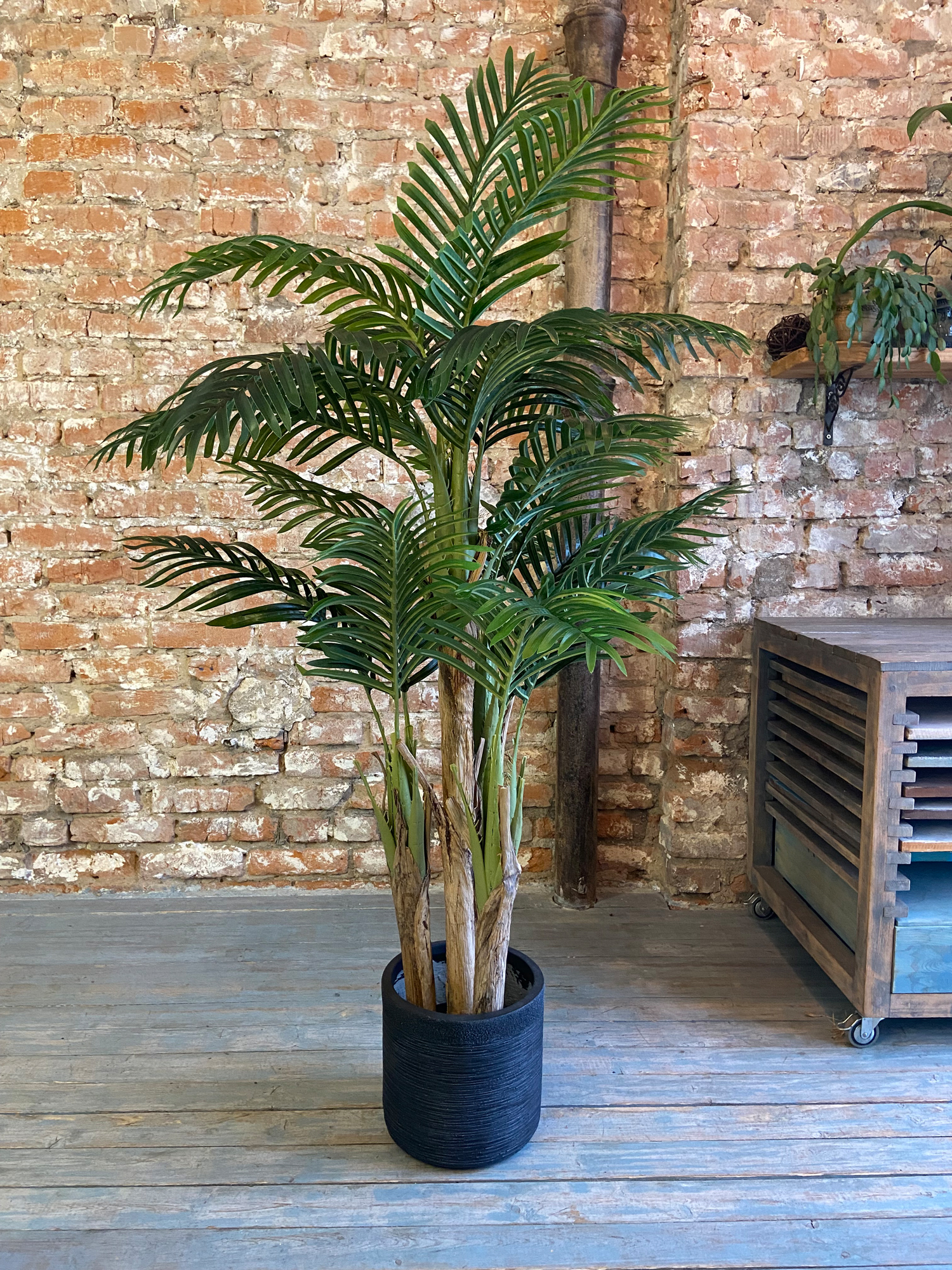 Искусственная пальма Финиковая Клаудия люкс — изображение 6