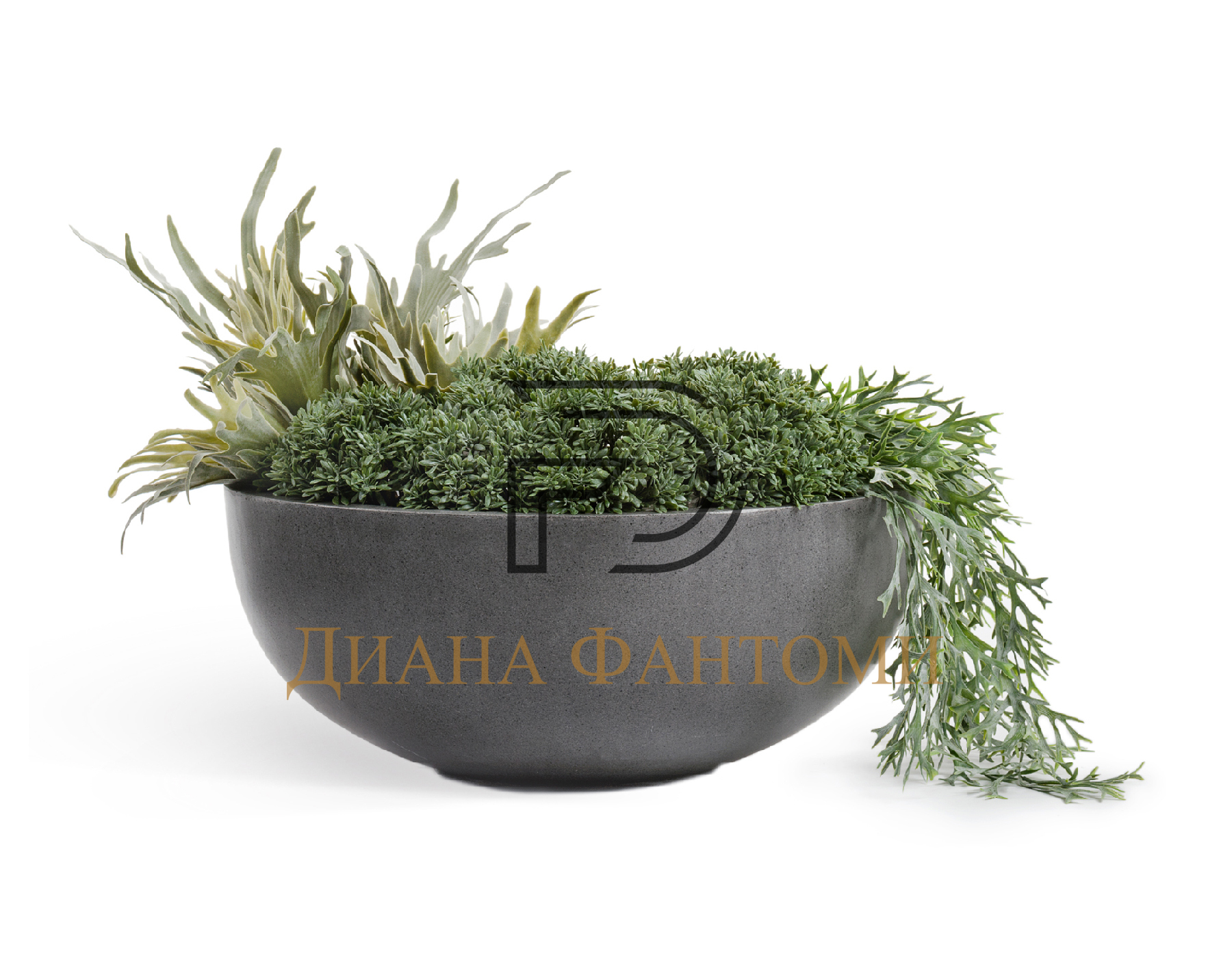 Кашпо - Beton - Низкая чаша — изображение 5